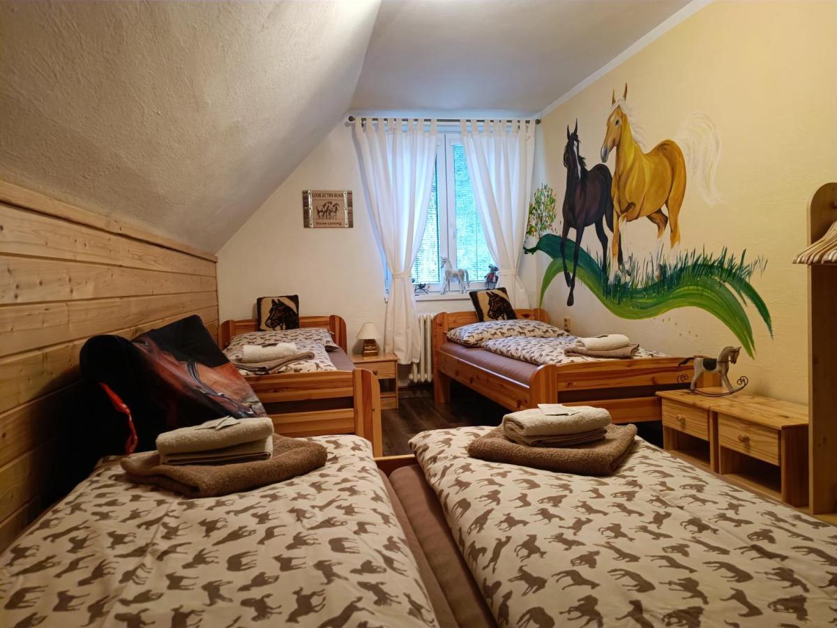 Jizdarna Malenovice Διαμέρισμα Malenovice  Εξωτερικό φωτογραφία