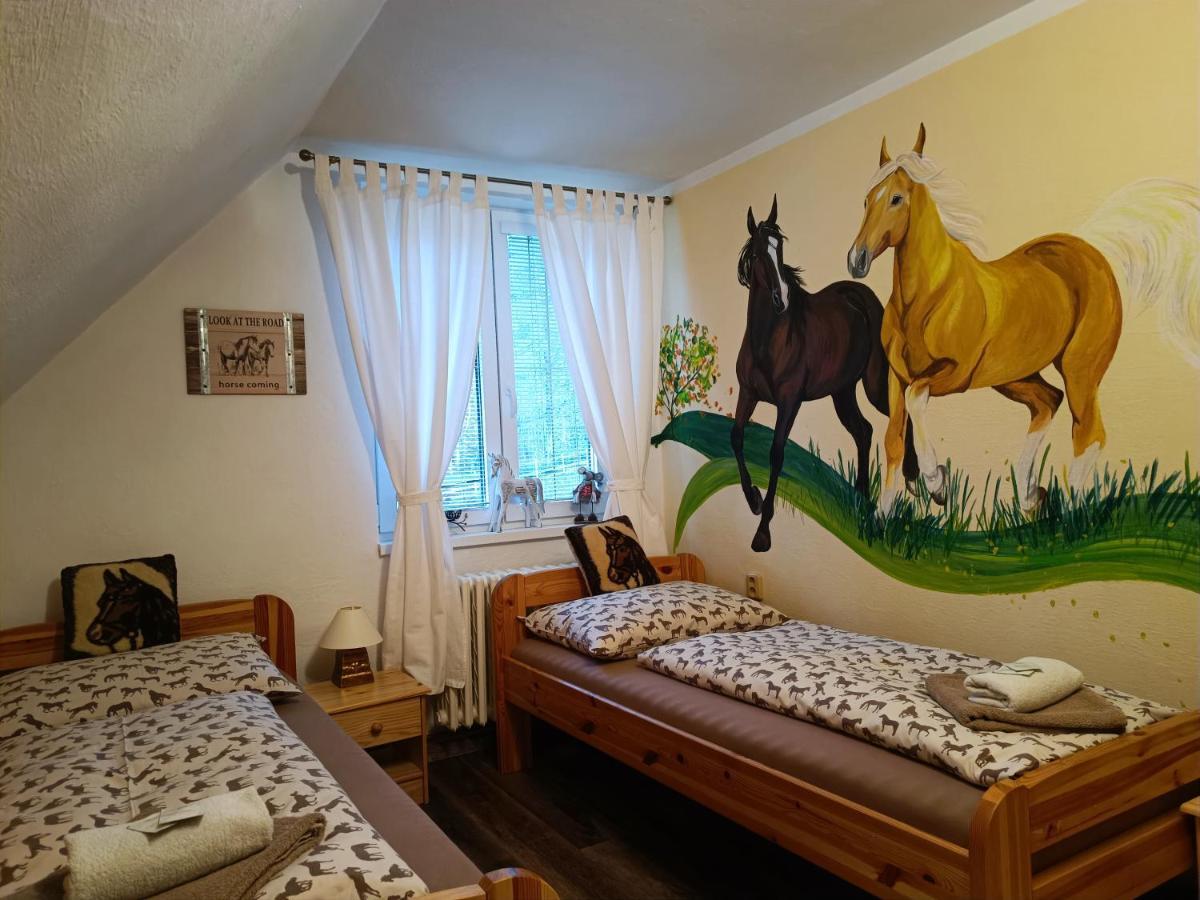 Jizdarna Malenovice Διαμέρισμα Malenovice  Εξωτερικό φωτογραφία