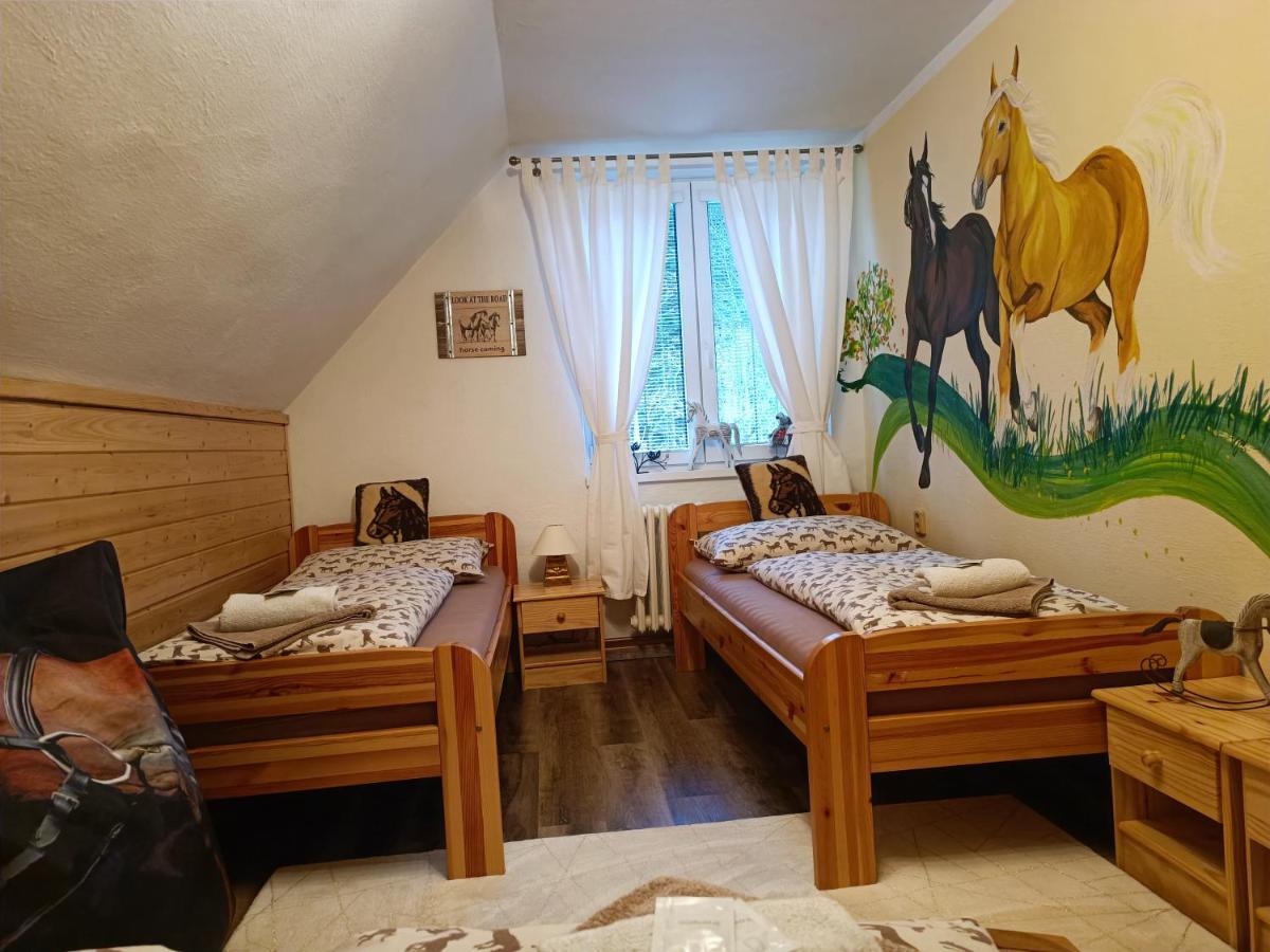 Jizdarna Malenovice Διαμέρισμα Malenovice  Εξωτερικό φωτογραφία